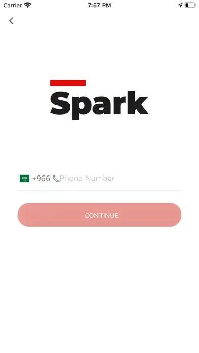 Play Spark Ride as an online game Spark Ride with UptoPlay