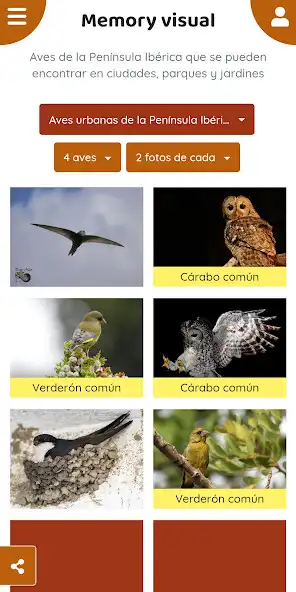 Play Sparrou: Learn Nature Playing!  and enjoy Sparrou: Learn Nature Playing! with UptoPlay