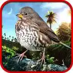 Free play online Sparrow Hunting 1.1  APK