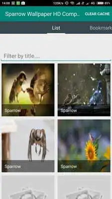 Play Sparrow Wallpaper HD Complete Play Sparrow Wallpaper HD Complete