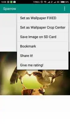 Play Sparrow Wallpaper HD Complete Play Sparrow Wallpaper HD Complete