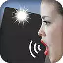 Free play online Speak to Torch Light APK Free play online Speak to Torch Light APK