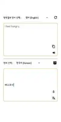Play Speak Translator (English)