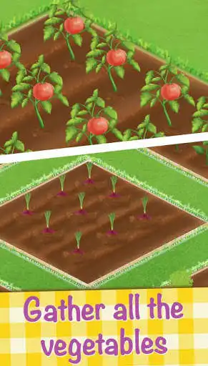 Play APK Special lasagna cooking  and enjoy Special lasagna cooking with UptoPlay air.nog.specialcheeselasagna