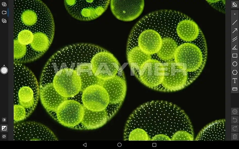 Play Spectman and enjoy Spectman with UptoPlay Play Spectman and enjoy Spectman with UptoPlay