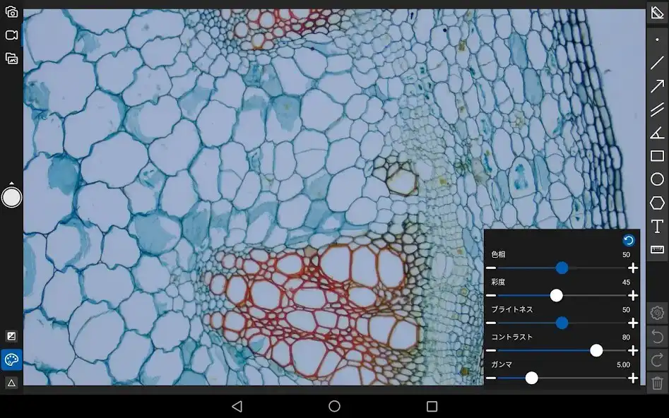 Play Spectman as an online game online Spectman with UptoPlay Play Spectman as an online game Spectman with UptoPlay