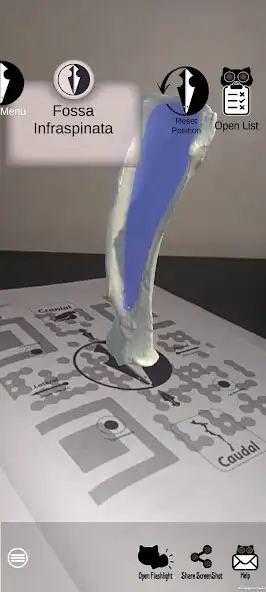 Play Spectre Vet. Anatomy Demo  and enjoy Spectre Vet. Anatomy Demo with UptoPlay