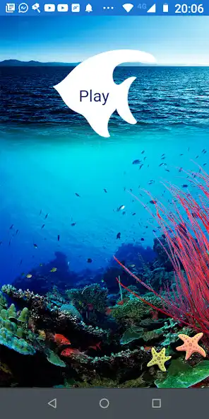 Play Speedy Fish Money  and enjoy Speedy Fish Money with UptoPlay