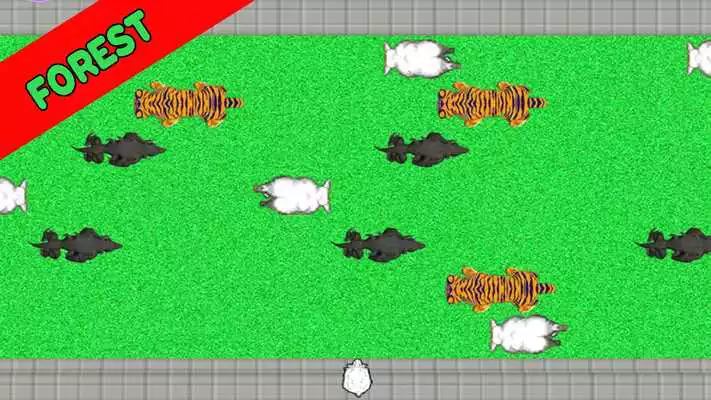 Play Speedy Sheep World Play Speedy Sheep World