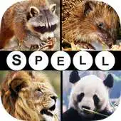Free play online Spell the Picture APK