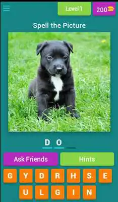 Play Spell the Picture