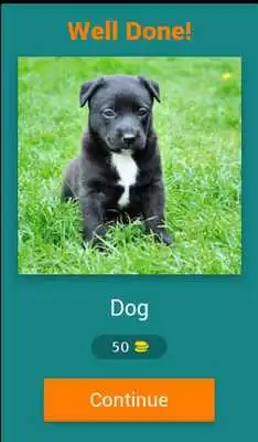 Play Spell the Picture