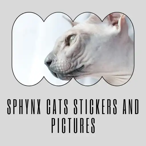 Play Sphynx Cats Stickers APK Play Sphynx Cats Stickers APK