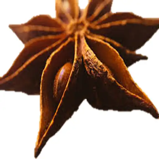 Play Spices: Culinary Uses APK