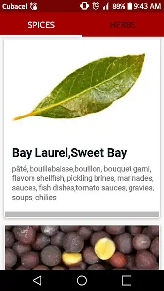 Play Spices: Culinary Uses  and enjoy Spices: Culinary Uses with UptoPlay