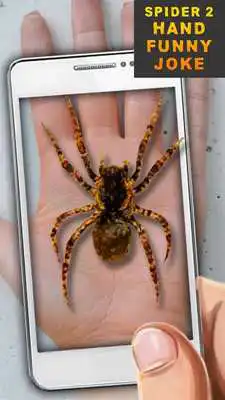 Play Spider 2 Hand Funny Joke