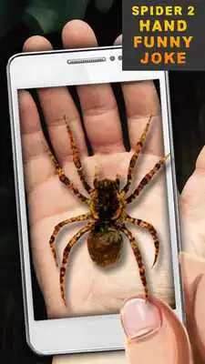 Play Spider 2 Hand Funny Joke