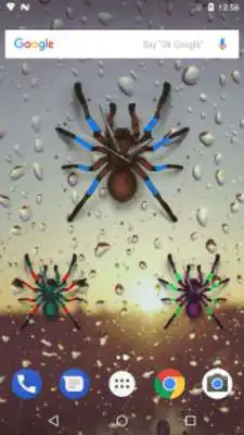Play Spider Analog Clock Play Spider Analog Clock