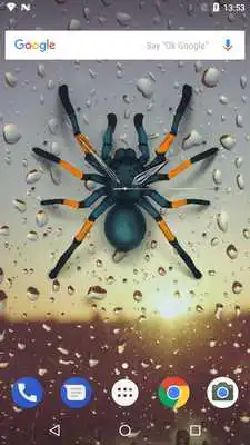 Play Spider Analog Clock Play Spider Analog Clock