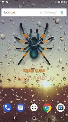 Play Spider Analog Clock Play Spider Analog Clock