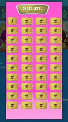 Play Spider Bubble Game