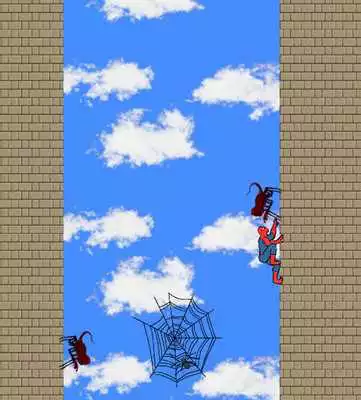 Play Spider Climbing