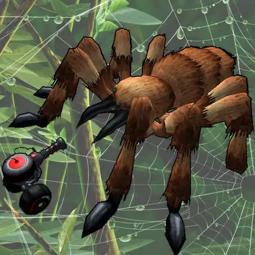 Free play online Spider Crash APK Free play online Spider Crash APK
