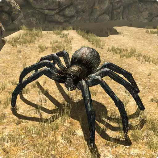 Free play online Spider Family Simulator APK