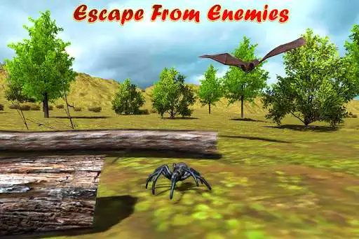 Play Spider Family Simulator