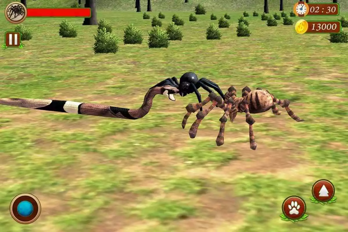 Play Spider Family Simulator