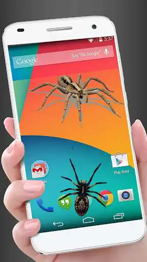 Play Spider in phone funny joke