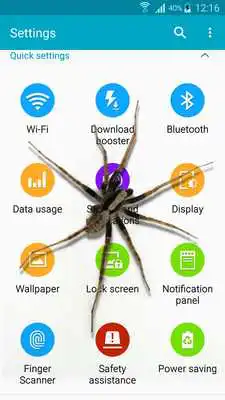 Play Spider in phone funny joke