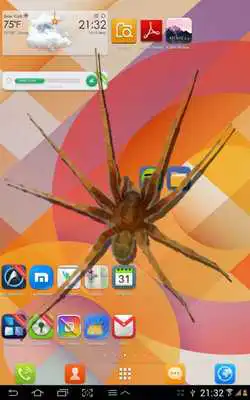 Play Spider in phone funny joke