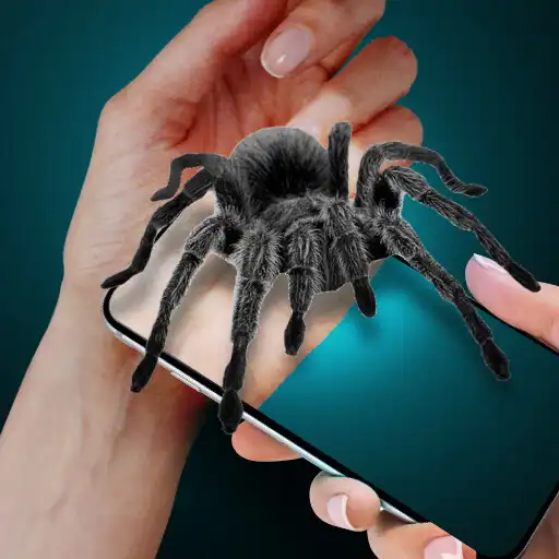 Play Spider on My Hand Joke APK