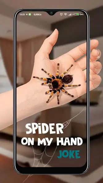 Play Spider on My Hand Joke  and enjoy Spider on My Hand Joke with UptoPlay