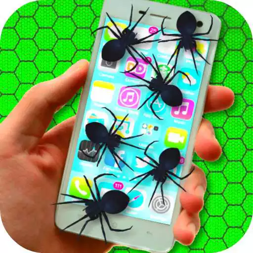Free play online Spider on Phone Scare Prank APK