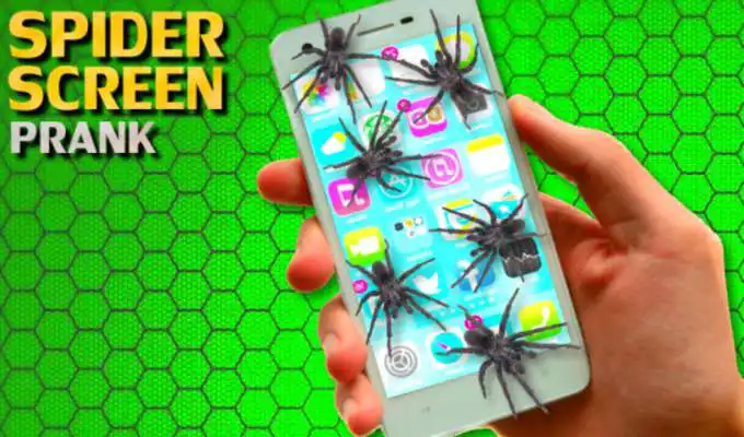 Play Spider on Phone Scare Prank Play Spider on Phone Scare Prank