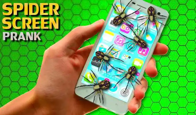 Play Spider on Phone Scare Prank Play Spider on Phone Scare Prank