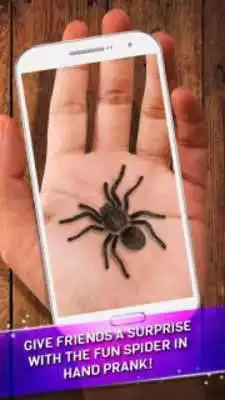 Play Spider Prank