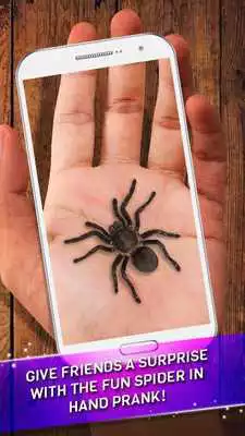 Play Spider Prank