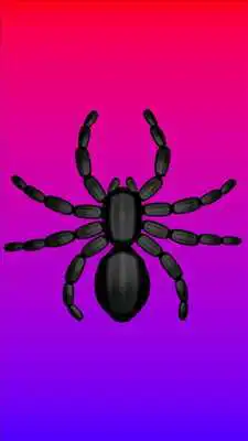 Play spider.scare