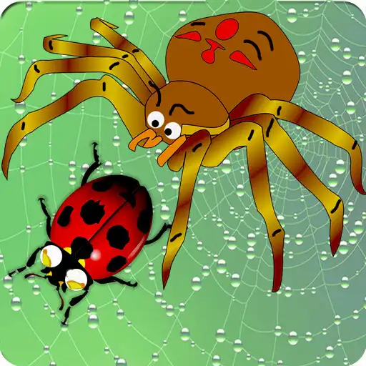 Play Spiders APK Play Spiders APK