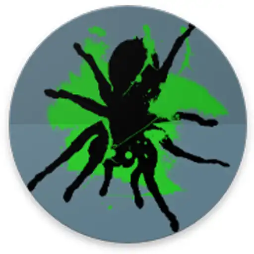 Play Spider Smash Game APK