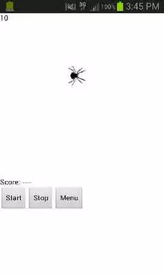 Play Spider Smash
