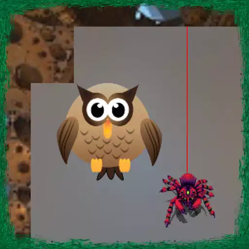 Free play online Spider Web APK