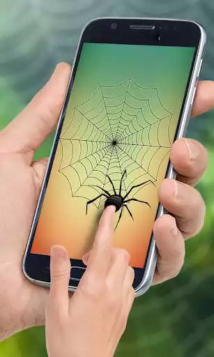 Play Spider Web Out