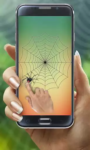 Play Spider Web Out
