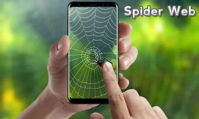 Play Spider Web Out