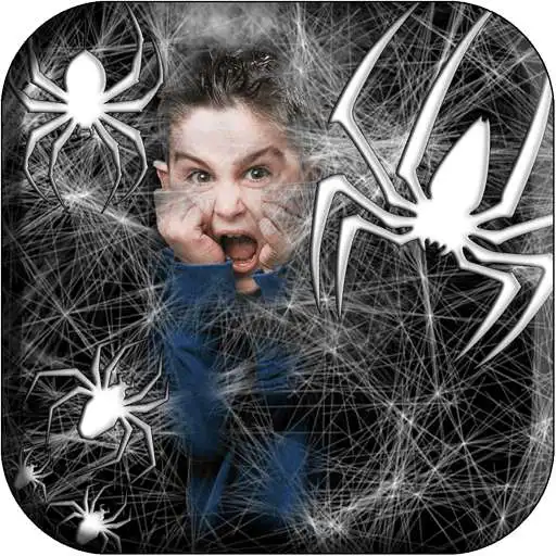 Free play online Spider Web Photo Frame Effects  APK