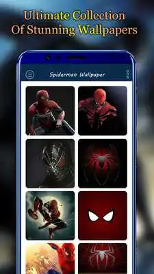 Play Spidey Latest Wallpapers